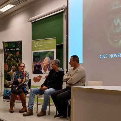 Csimpánzok nyomában Jane Goodallal Pécsett