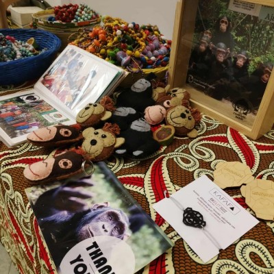 Csimpánzok nyomában Jane Goodallal Pécsett