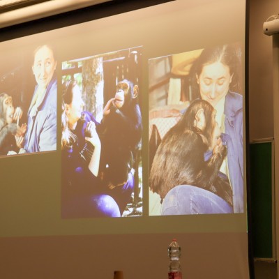 Csimpánzok nyomában Jane Goodallal Pécsett