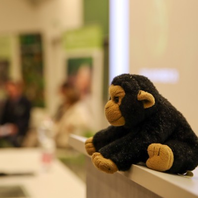 Csimpánzok nyomában Jane Goodallal Pécsett