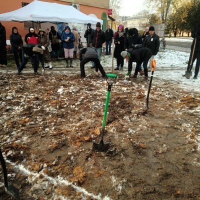 Első Kecskeméti Miyawaki ültetése - Az Ötszögletű minierdő