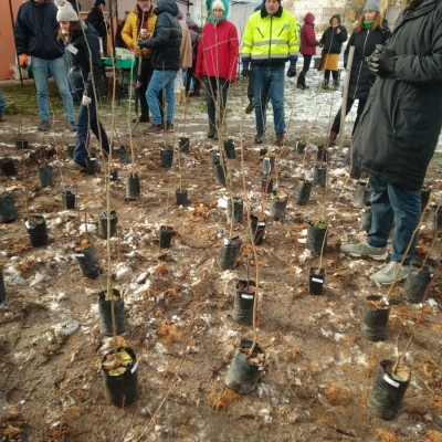 Első Kecskeméti Miyawaki ültetése - Az Ötszögletű minierdő