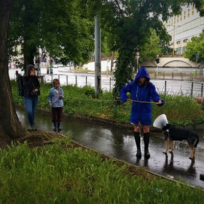 Környezeti nevelés az Orczy téren