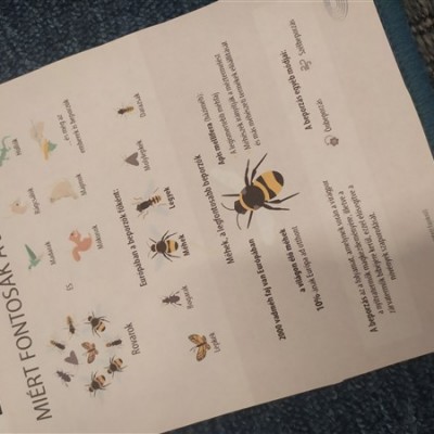 Porozók paradicsoma